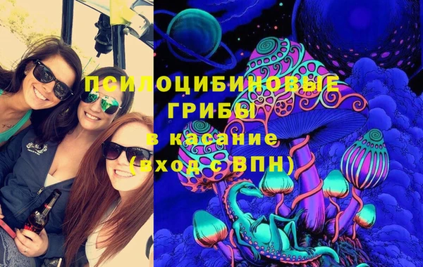 дурь Нефтегорск