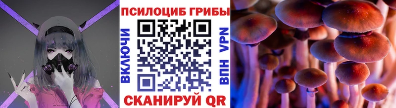 купить закладку  Удомля  Псилоцибиновые грибы GOLDEN TEACHER 