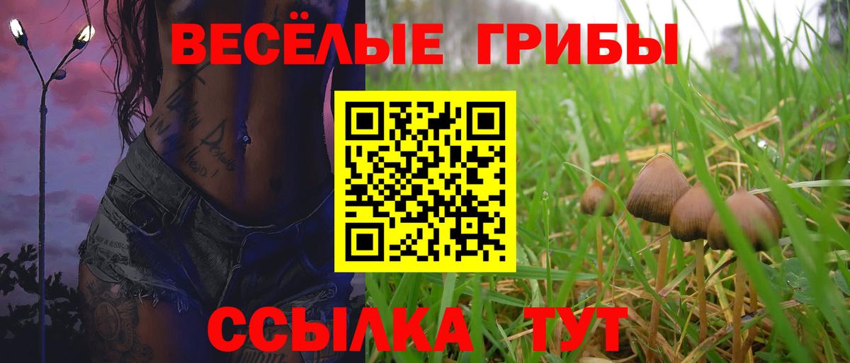 Удомля  Галлюциногенные грибы Cubensis  Вход с VPN 
